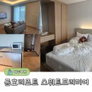 제주특산품판매점 | 제주 가성비 숙소 추천 금호리조트 스위트프리미엄 및 부대시설