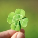 송백마트 이미지