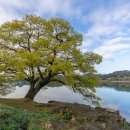 의림지 역사박물관 이미지