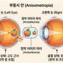 안경박사포아이즈안경 이미지