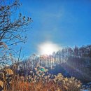 원주굽이길 2코스 700년 노송길 이미지