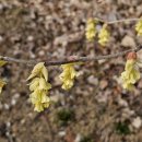 운칠기삼 이미지