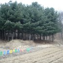 남양군 도열공 홍경주묘 이미지