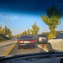 이마트24문막반계리점 | 서울 근교 단풍명소지만 주차만 1시간! 원주 반계리 은행나무 후기 &amp; 주차 꿀팁