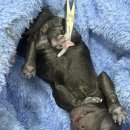 화이트 버블 이미지