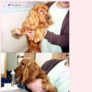 달자 이미지