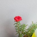 그린1급종합검사정비 이미지