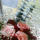 개나리아파트 이미지