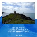 닭머르해안길 이미지