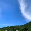 스테이 경화 이미지