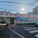 독도참가자미 이미지