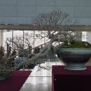 빛고을고등학교 이미지