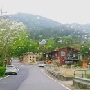 백운산자연휴양림 | 광양 백운산자연휴양림 야영장 ⛺️ 우중캠핑
