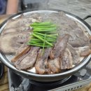 쭈꾸미박사