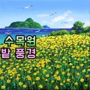 온갖 잔머리 트릭으로 그린 그림?? - 거제도 공곶이 수목원 수선화밭 풍경 이미지