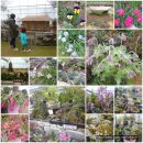 동산농장 이미지