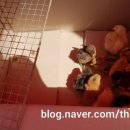 이상원농장 이미지