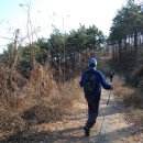 팔공산왕건길 1코스 이미지