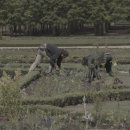 대발슈퍼