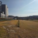 정촌 파크골프장 이미지