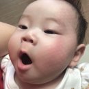 스테이 소예 이미지