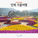 인제이카페 | 강원도 인제 가볼만한곳 꽃축제 가을 여행 추천 박인환문학관 스마트복합쉼터 필례게르마늄온천 약수...