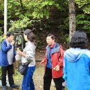 2025년 10월18일(토) 도보순례 홍천 수타사 “산소길 자연순례” 이미지