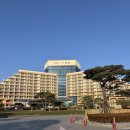 소노캄 호텔 델피노 | 고성 소노캄 델피노 C동 호텔 울산바위뷰 체크인 룸컨디션 후기