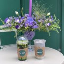 사랑의 병원 옆 이미지