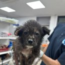 도원2리경로당 이미지