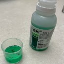 안정혁이비인후과의원 | 일주일간 코로나 증상 일기