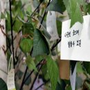 기숙 학원 후기 양지 비상에듀,상담 후 진짜 느낀 점~