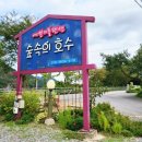 담양버치 이미지