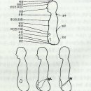 단전호흡 이미지