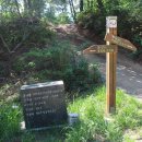 옥산리농로 이미지