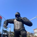 여수밤바다 힐링파크 호스텔 | [여수가볼만한곳] 유월드 후기(예약꿀팁, 가격, 여수 롤글라이더 탑승기)