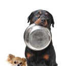 윤슬동물병원 이미지