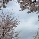 섬안농장 이미지