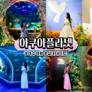 은하수 | 여수 실내 놀거리 데이트 코스로 좋은 아쿠아플라넷 주차장 티켓 예매