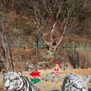 낙동강세평하늘길 | 낙동강 세평 하늘길 트레킹 경북봉화 25.12.7