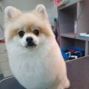 견생스타일 이미지