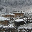 대게펜션민박