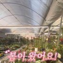 해성꽃농원