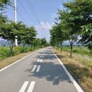 안성 조령천 매일일보