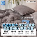 올리비아앤코