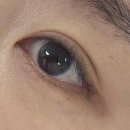 신중동역 랜드마크 푸르지오 시티 | [신중동역속눈썹] 부천 속눈썹 '끌리비' 펌포인트연장으로 완성한 시원하고 또렷한 눈매 후기