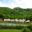 디자인팜스 이미지