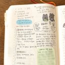 독립 프로젝트 한 달 후기, 나를 키우는 시간