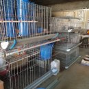 동남부화장 이미지