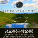 연못을 품은 신비로운 서쪽 언덕 &#39;금오름&#39;...이효리 &#39;서울&#39;, 트와이스 &#39;시그널&#39; 뮤직비디오 배경 이미지